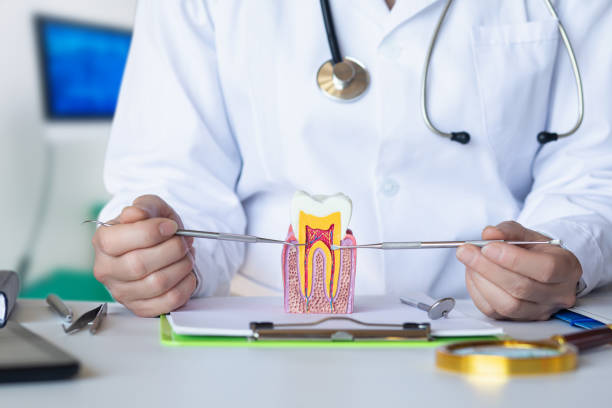 Best Tooth Pain Emergency Relief  in Fort Loramie, OH